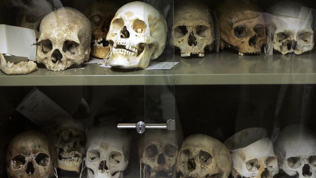 Tengkorak Purba Ungkap Migrasi Manusia dari Afrika ke Eropa