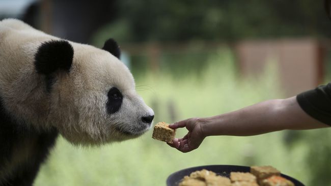 Perubahan Iklim dan Kepunahan Pertanda Bumi dalam Bahaya