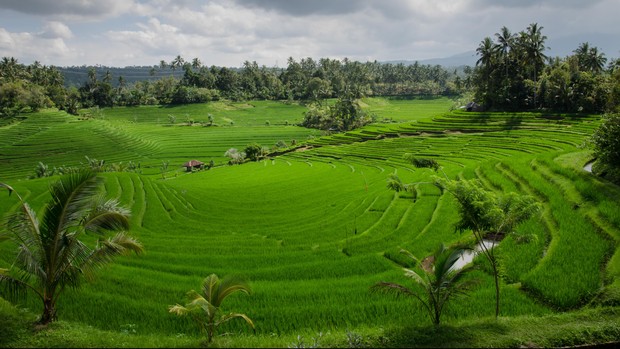 Indonesia