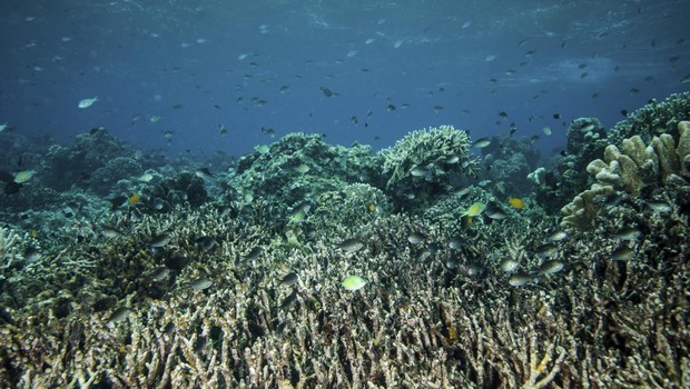 4. Kepulauan Derawan