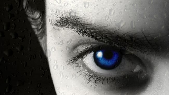 Bionic Eye, Mata Canggih untuk Tuna Netra