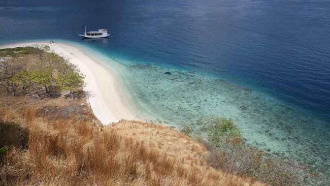 Menyelami Alor, Surga Bawah Laut yang Fantastis