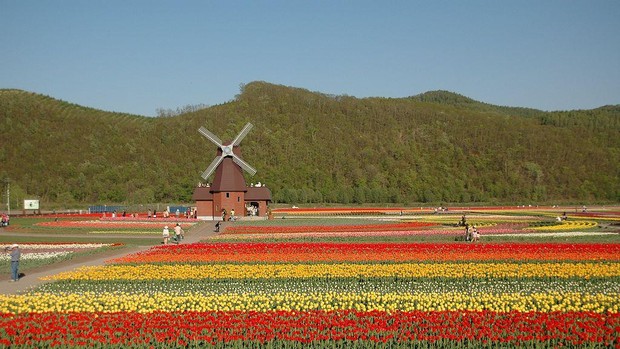 Kebun bunga Hokkaido, Jepang