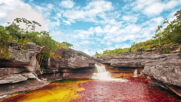 Sungai Caño Cristales, Kolombia