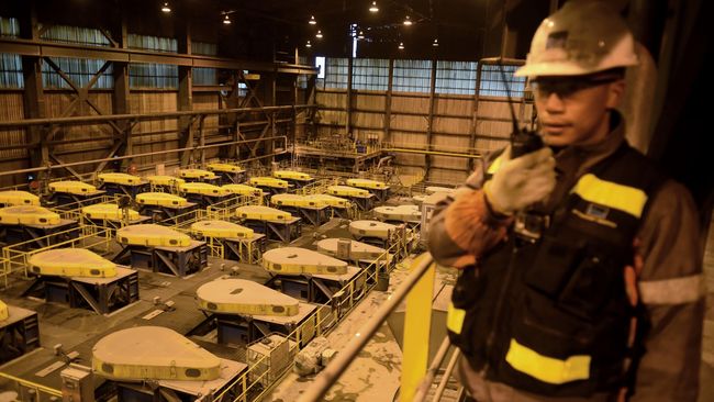 Smelter Selesai Target Ekspor Mineral Naik Jadi US$ 17 Miliar