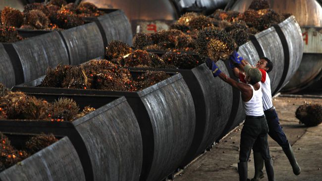 Harga Minyak Anjlok, BLU Sawit Didesak Hentikan Subsidi BBN
