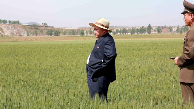 Kekeringan, Warga Korut Terancam Makan Rumput Lagi