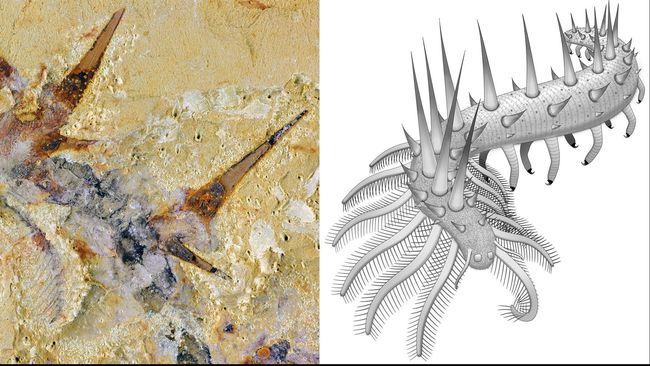 Cacing Monster Bertanduk, Hidup Jutaan Tahun Lalu di China