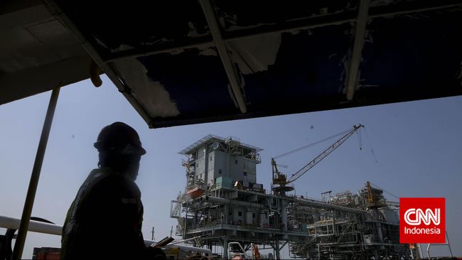 Pemerintah Janjikan Insentif untuk Industri Petrokimia Masela