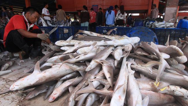 Amerika Bebaskan Bea Masuk Produk Ikan Indonesia