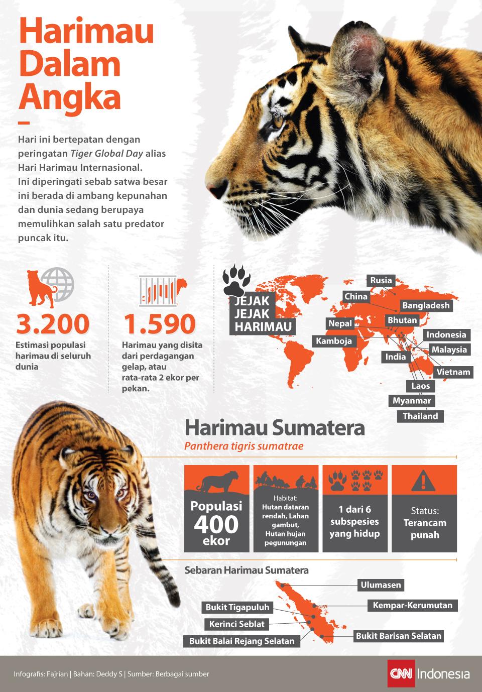 Harimau-Harimau dalam Angka