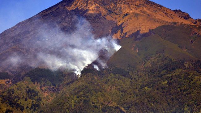 Istana Singgung Persekongkolan di Balik Kebakaran Hutan