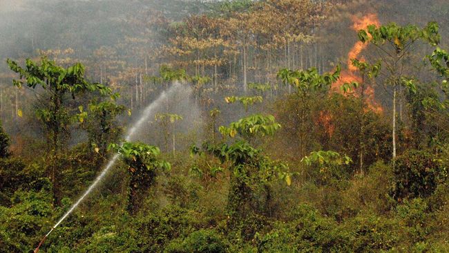 Kisah Dulman, Tewas Hirup Asap Saat Padamkan Kebakaran Hutan