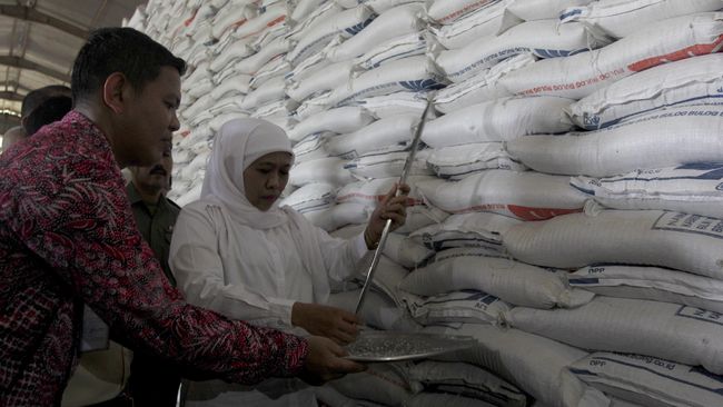 Pemerintah Susun SOP Perkuat Perum Bulog Stabilisasi Harga
