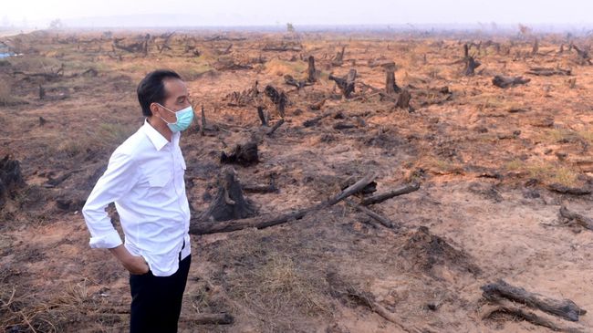 Jokowi Minta Tak Ada Kompromi Bagi Perusahaan Pemicu Karhutla