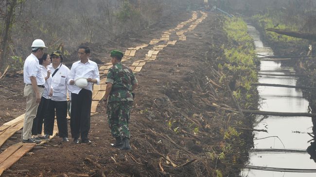 Penanganan Krisis Lahan Gambut Perlu Libatkan Masyarakat Adat