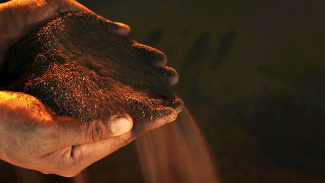 Proses Izin Ekspor Mineral Terkendala Verifikator Independen