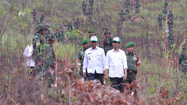 Program Perhutanan Sosial 12,7 Juta Hektare Dipertanyakan