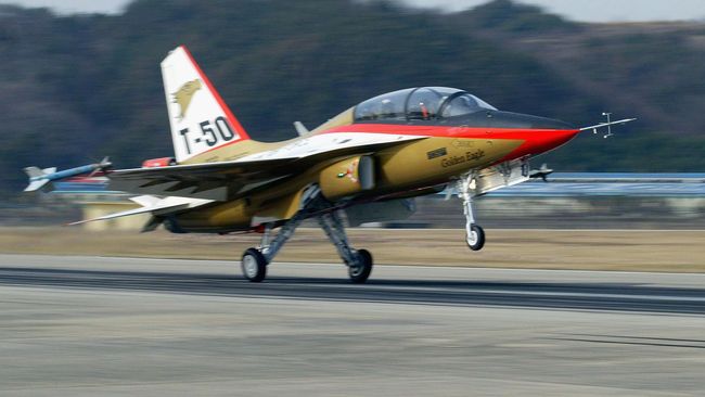 Kronologi Jatuhnya Jet Tempur T-50 di Yogyakarta