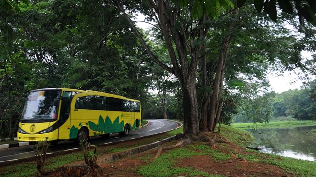 Tiga Kampus Terbaik Pencetak Lulusan Siap Kerja di Indonesia