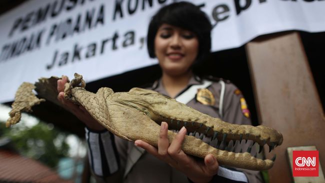 Indikator perdagangan kulit kepala