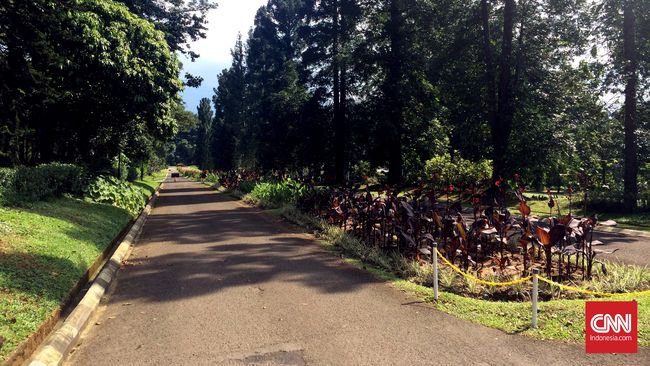 Pengelola Disurati Paspampres, Minta Kebun Raya Bogor Ditutup