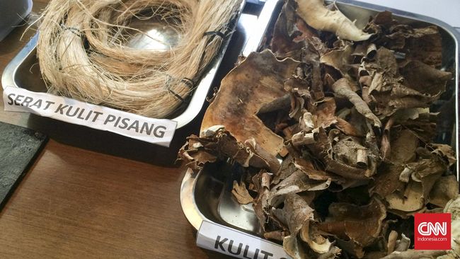 Dua Remaja Semarang Ubah Kulit Singkong jadi Interior Pesawat