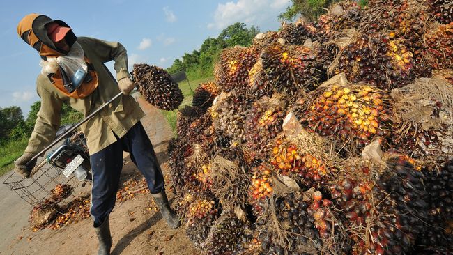 US$3,89 Miliar Kredit Bank Membawa Malapetaka Bagi Lingkungan