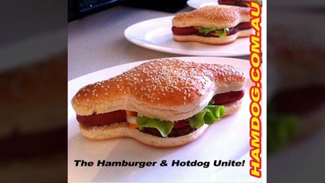 Hot Dog Hamburger Shark Tank Hot Dog Hamburger Shark Tank