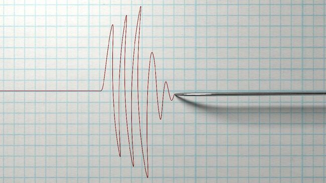 Gempa 6,6 SR Putuskan Aliran Listrik di Mukomuko