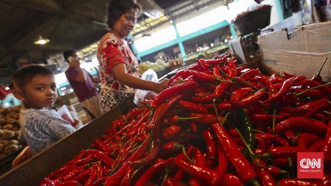 Pemerintah Klaim Produksi Cabai Januari Surplus 5 Ribu Ton