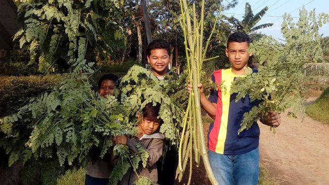 Mengenalkan Tanaman dan Pertanian pada Remaja