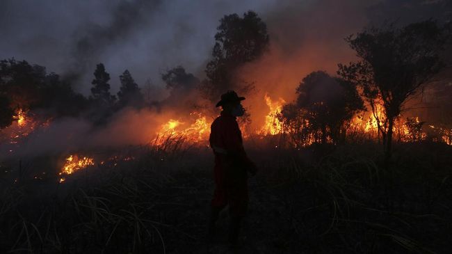 Penemuan Cara Memprediksi Kebakaran Hutan dan Lahan Gambut