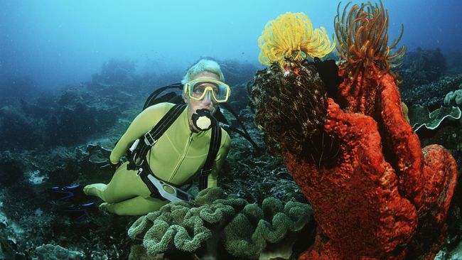 Wisatawan Timur Tengah Anggap Indonesia Seperti 'Surga'