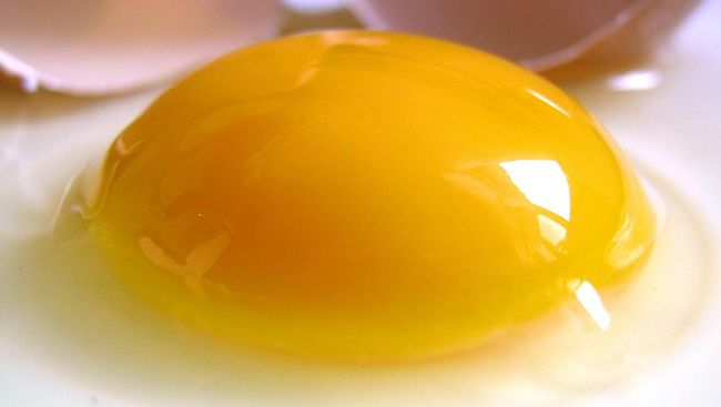 Berikut 8 Perbedaan Telur Ayam dan Telur Bebek, Diantara 2 Telur Tersebut Anda Lebih Memilih Yang Mana? Berikut 8 Perbedaan Telur Ayam dan Telur Bebek, Diantara 2 Telur Tersebut Anda Lebih Memilih Yang Mana?