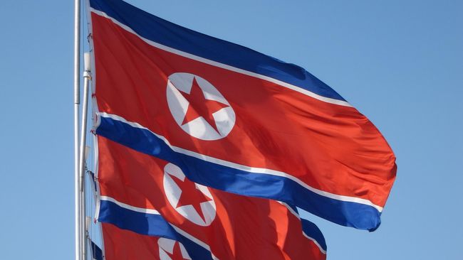 Hasil gambar untuk bendera korea utara