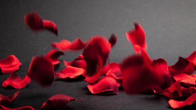 Merekonstruksi Nenek Moyang Tumbuhan Berbunga