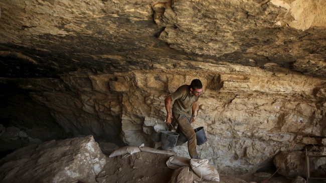 Arkeolog Temukan Tulang Hewan Purba Berusia 350.000 Tahun 