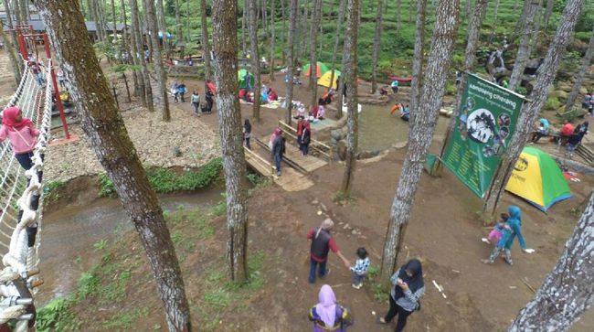 Menikmati Keindahan Wana Wisata Ciherang di Sumedang