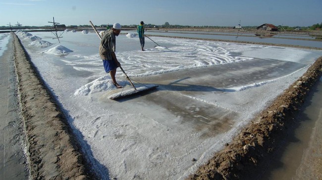 Polemik Garam di Negeri Maritim